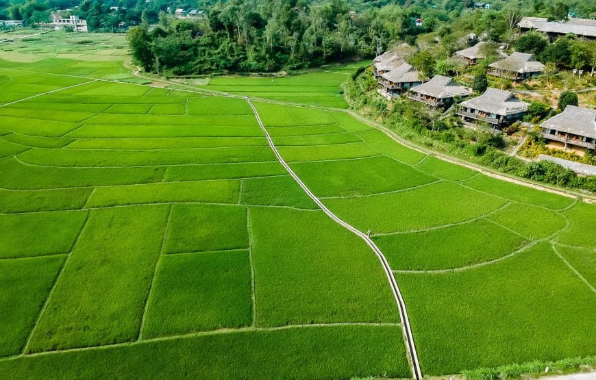 Mai Chau hill tribe day tour