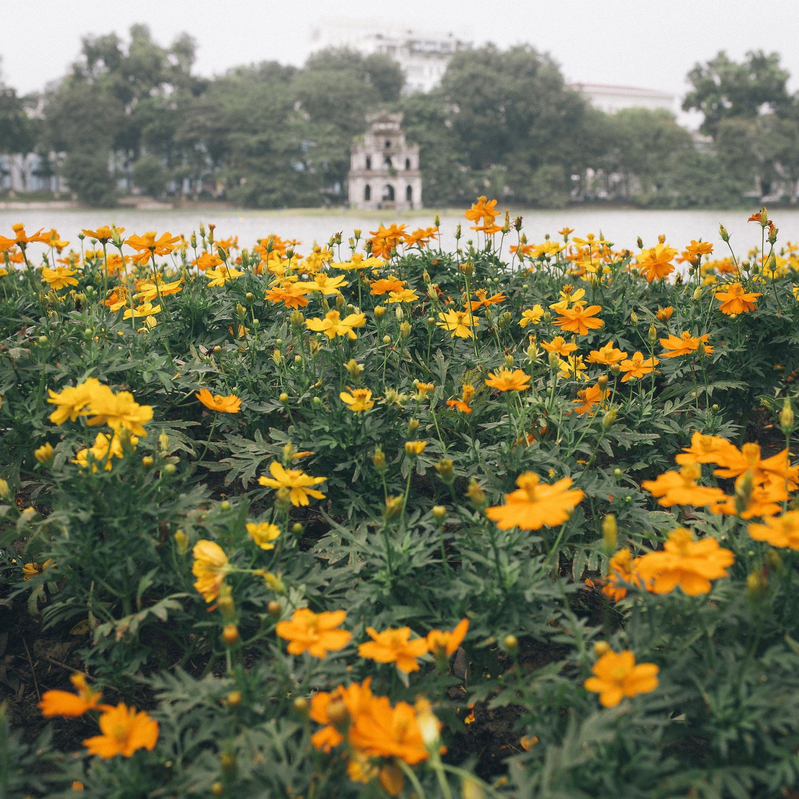 Day 1: Arrival Hanoi Vietnam