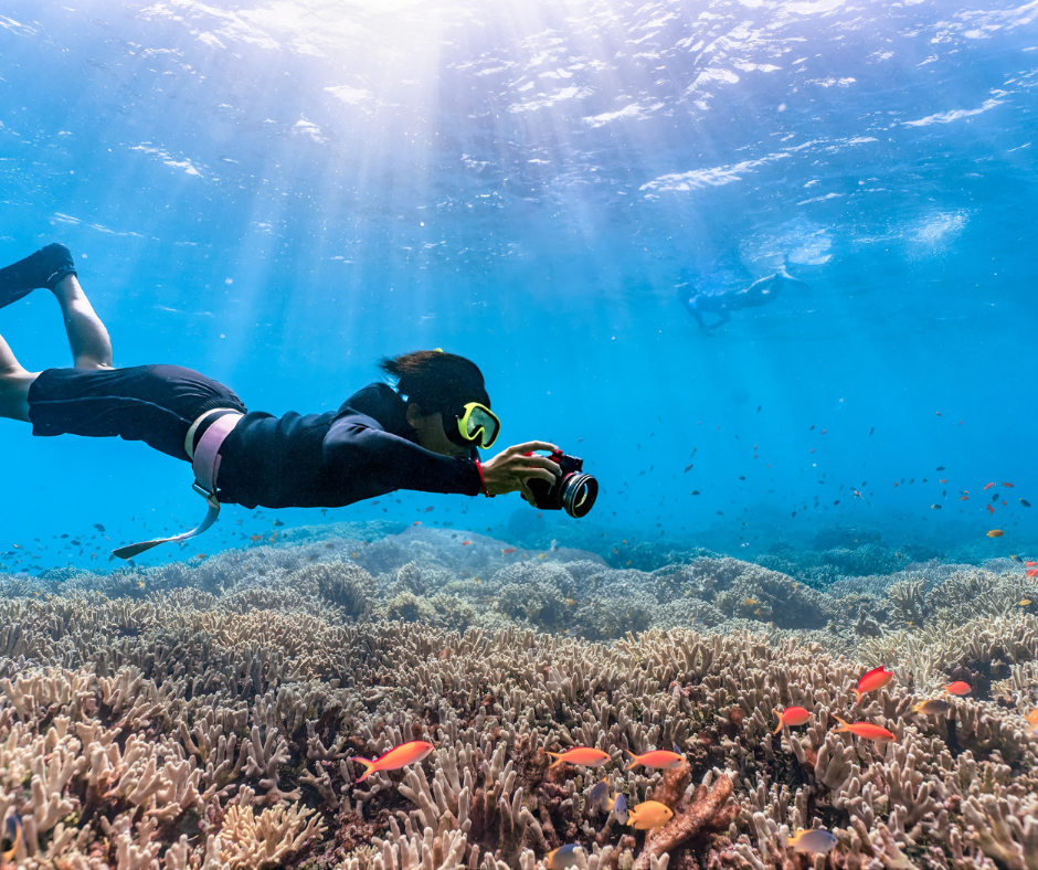 12 Months and Must-Visit Places in Vietnam
